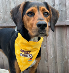 Waggy Trails Dog Bandana